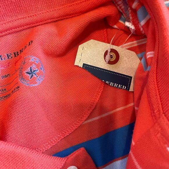 NWT Saddlebred Men’s Large Salmon Pink/Blues/White Striped Relaxed Fit Polo - Picture 5 of 9